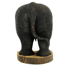 Handcarved Teak Elephant Derrier Tush (CLB-921)