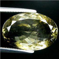 8.95ct  Oval Cut Green  Tourmaline (GEM-35278)