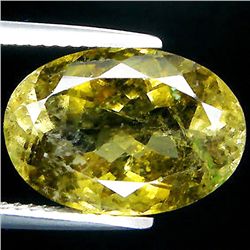 8.01ct    Oval Cut Green Tourmaline (GEM-35280)