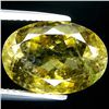 Image 1 : 8.01ct    Oval Cut Green Tourmaline (GEM-35280)