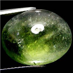 12.06ct Cabochon Green Blue Cuprian Tourmaline (GEM-35293)