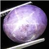 14.05ct Natural Star Ruby Well Patterned  (GEM-32132)