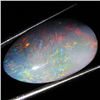 11.75ct Australian Black Opal Doublet Full Fire (GEM-36240)