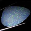 12.05ct Australian Black Opal Doublet Full Fire (GEM-36532)