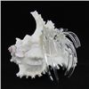 Hand Formed Glass Hermit Crab (DEC-266)