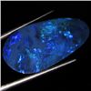 7.9ct Australian Black Opal Doublet Full Fire (GEM-36180)