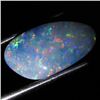 4.3ct Australian Black Opal Doublet Full Fire (GEM-36456)