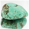 34.7ct Green Turquoise Freeform Cabochon (GEM-33779)