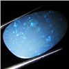 5.5ct Australian Black Opal Doublet Full Fire (GEM-36259)