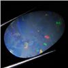 11ct Australian Black Opal Doublet Full Fire (GEM-36279)