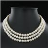 White Small Saltwater Pearl Necklace (JEW-250)