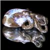 93.72ct Australian Boulder Opal Handcarved Goldfish (GEM-31850)