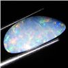 4.35ct Australian Black Opal Doublet Full Fire (GEM-36159)