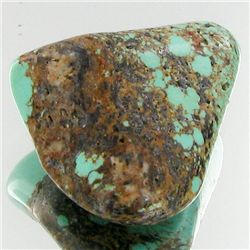 35.4ct Green Turquoise Freeform Cabochon (GEM-33799)