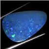 5.3ct Australian Black Opal Doublet Full Fire (GEM-36442)