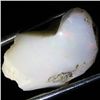 9.9ct Sudan Opal Rough  (GEM-29814C)