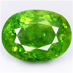 5.39ct  Natural Leaf Green Tourmaline (GEM-35216)
