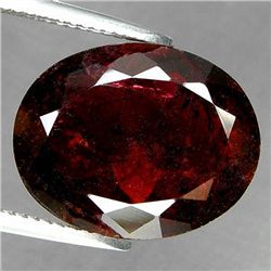 11.57ct   Oval Cut Red Orange Tourmaline (GEM-35285)