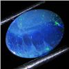 0.73ct Australian Black Opal Doublet Full Fire (GEM-36103)