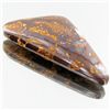40.50ct Australian Bounder Opal  (GEM-31357)
