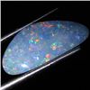 3.79ct Australian Black Opal Doublet Full Fire (GEM-35943)