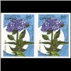 1993 Congo 95f Flower Pair Mint (STM-0648)