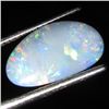2.85ct Australian Black Opal Doublet Full Fire (GEM-36579)