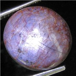 14.80ct Natural Star Ruby Well Patterned  (GEM-32096)