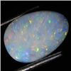 3.45ct Australian Black Opal Doublet Full Fire (GEM-36502)