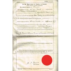 1862-1916: Kennedy Families of Kilcannon and Callaghane, Co. Waterford estate papers