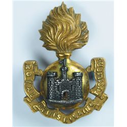 circa 1895: Royal Inniskilling Fusiliers officers and other ranks 'Tirah' shoulder titles