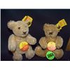 Image 2 : 3pc original Steiff toy with tag in ear - teddy bear