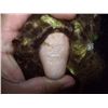 Image 3 : 2pc doll - bisque head detached