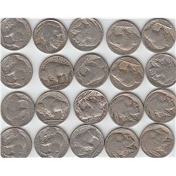 20 BUFFALO NICKELS WITH DATES