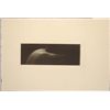 Image 1 : CHEVELLURE Nude Mikio Watanabe Art Print Mezzotint Art