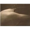 Image 2 : CHEVELLURE Nude Mikio Watanabe Art Print Mezzotint Art