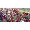 Image 1 : Marysia Burr RED IRISES Deluxe Canvas Floral Art Print