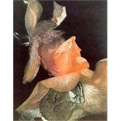 Flowering Life By GH Rothe Mezzotint Image 6x8