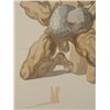 Image 2 : Dali Unique Decomposition Print Divine Comedy Prodigal