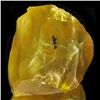 Image 1 : 67.82ct Yellow Opal Rough  (GEM-39444)