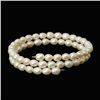 Saltwater Small White Pearl Bracelet  (JEW-260)