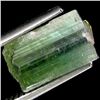 4.3ct Green Tourmaline Crystal Terminated (GEM-24354)