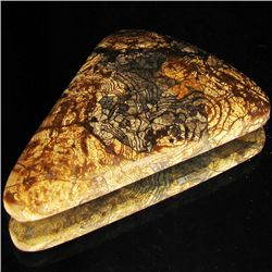 63.53ct Rare Spider Agate Cabochon (GEM-33112)