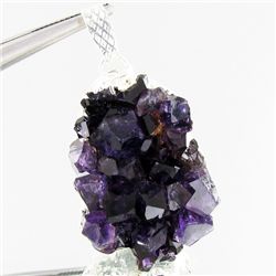 56.42twc Uruguay Amethest & Silver Pendant (JEW-3012)