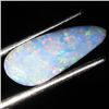 3.75ct Australian Black Opal Doublet Full Fire (GEM-36300)