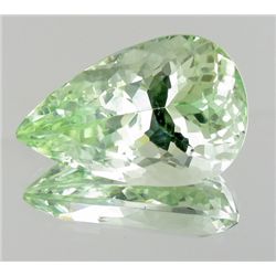 32ct Natural Green Kunzite  (GEM-24583)