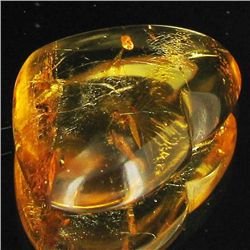 20.45ct Real Natural Amber Many Fossil Insect (GEM-29356)