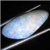 6.45ct Australian Black Opal Doublet Full Fire (GEM-36161)