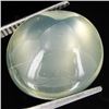 15.00ct Clear Misty Moonstone Cat's Eye Cabochon  (GEM-32046)