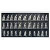 Image 1 : Eadweard Muybridge, Curtseying, Animal Locomotion, Collotype